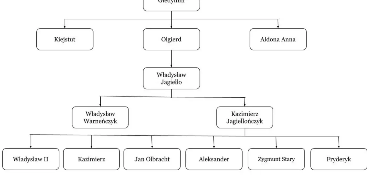 Drzewo genealogiczne pokazuje, że Kazimierz Jagiellończyk miał pięciu syn&oacute;w: Władysława II, Kazimierza, Jana Olbrachta, Aleksandra i Zygmunta Starego.